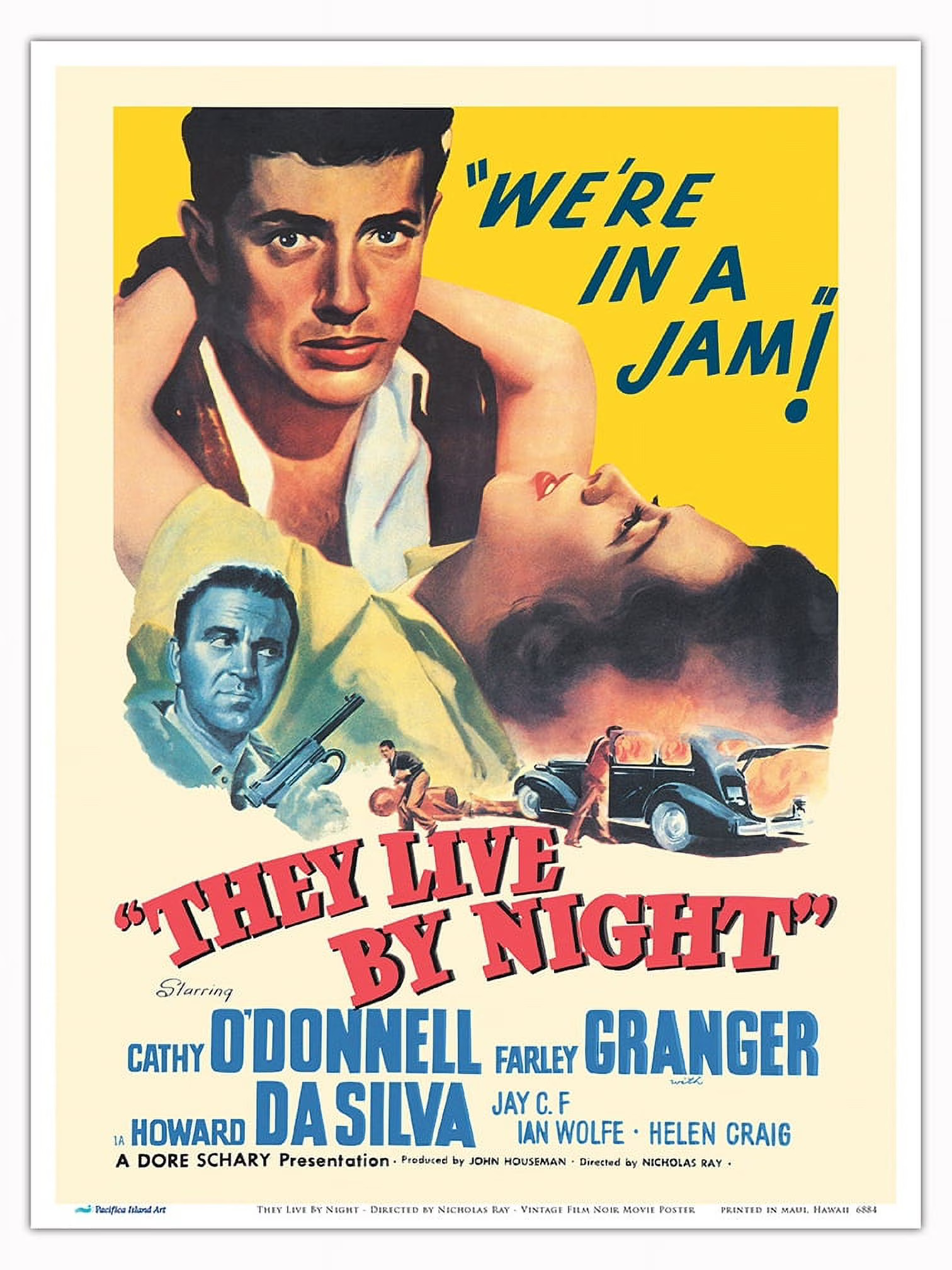 Movie cover: They Live By Night