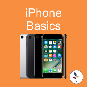 iPhone on an orange background with text, "iPhone Basics"