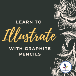 Learn to illustrate with graphite pencils
