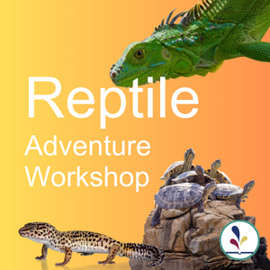 Reptile Adventure Workshop