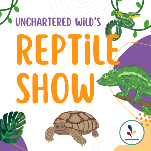 Unchartered Wild's Reptile Show