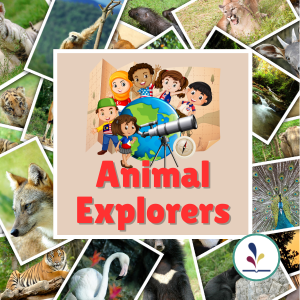 Animal Explorers