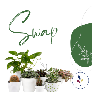 Variety of houseplants with text: Swap