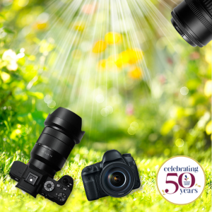 Digital cameras with zoom lenses; flowers, grass, and sunbeam in background