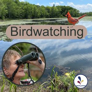 Birdwatching