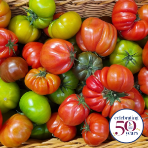 A variety of kids of tomatoes